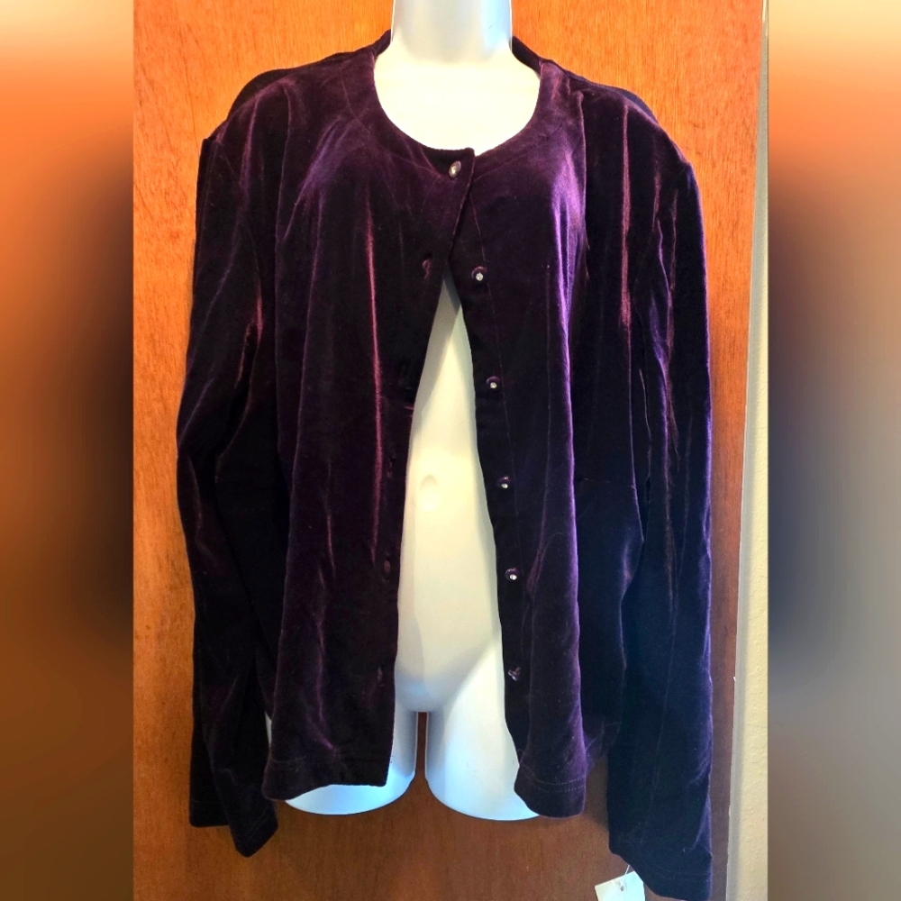 HOST PICK ππ Ronni Nicole II Vintage Velvet Women's Top/sweater NWT Sz24W/L - Picture 1 of 6